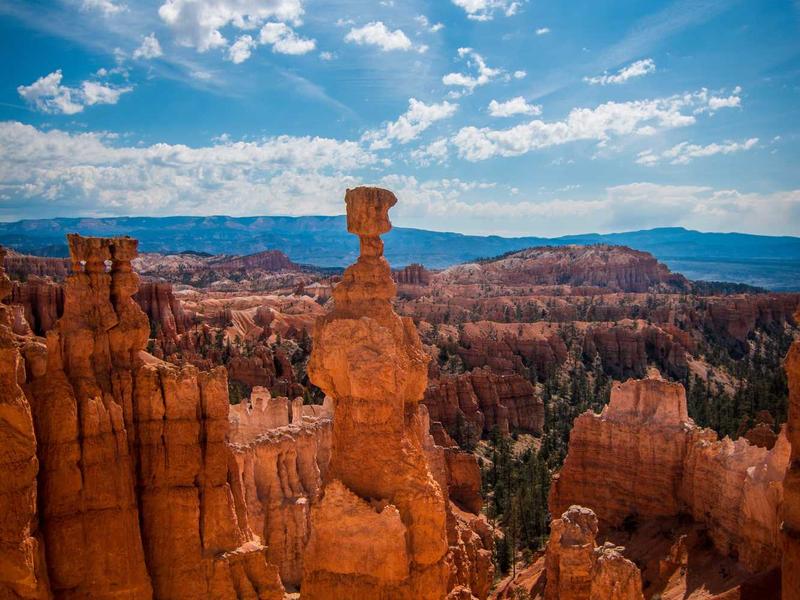 Wilber Taveras La Romana